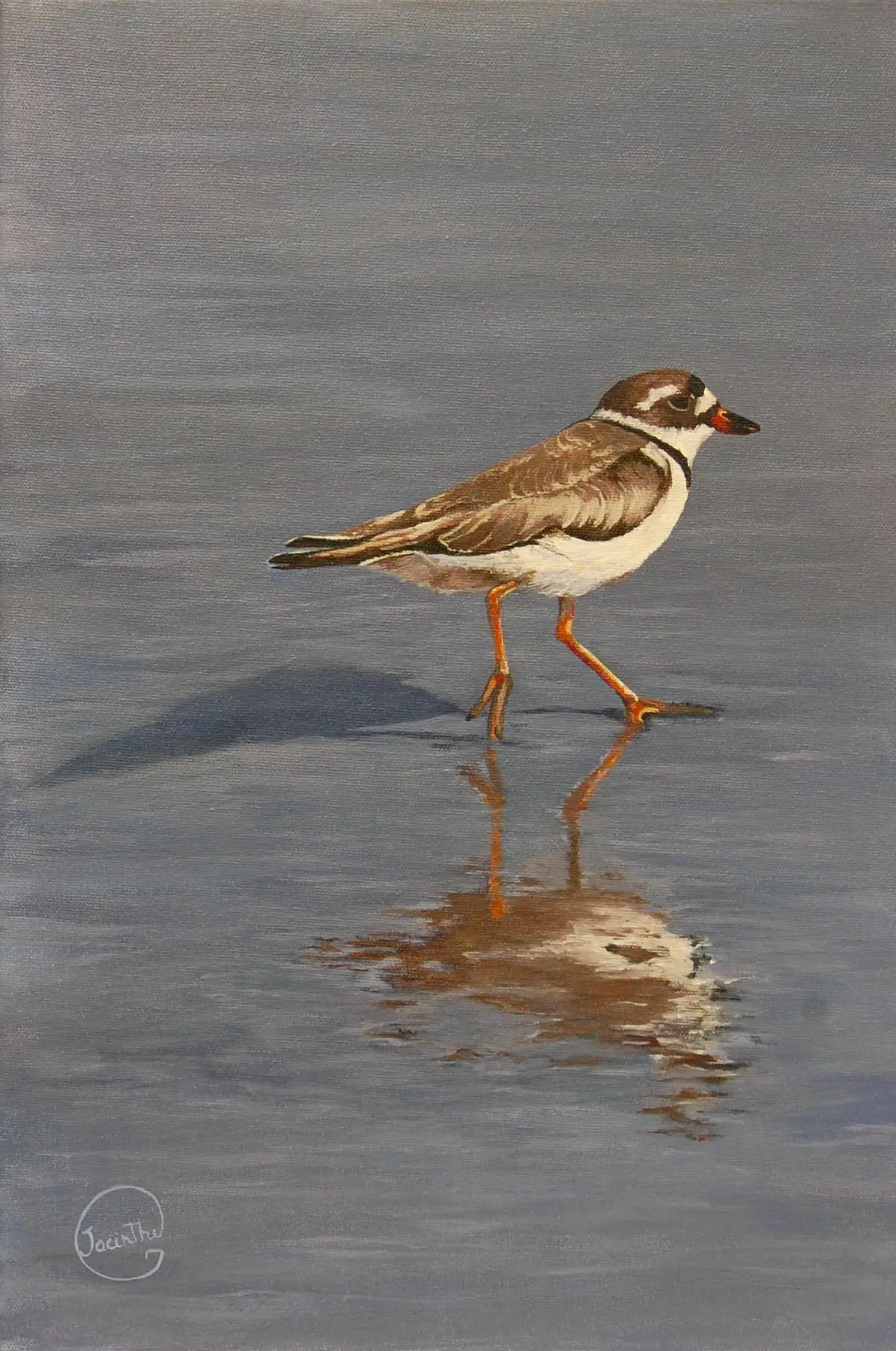 Butor d'Amérique — Jacinthe Grenon Butor d'Amérique