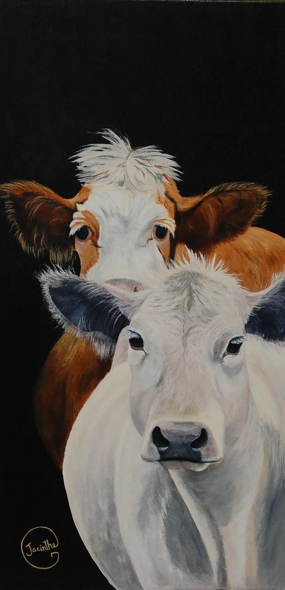 Vaches claires — Jacinthe Grenon Vaches claires