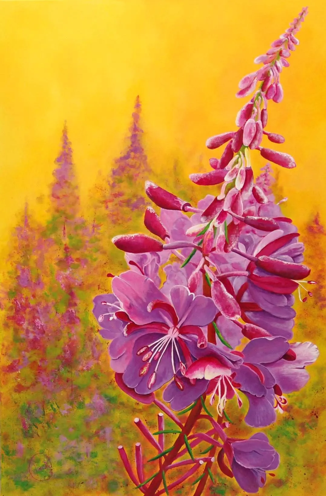 Épilobes — Jacinthe Grenon Épilobes