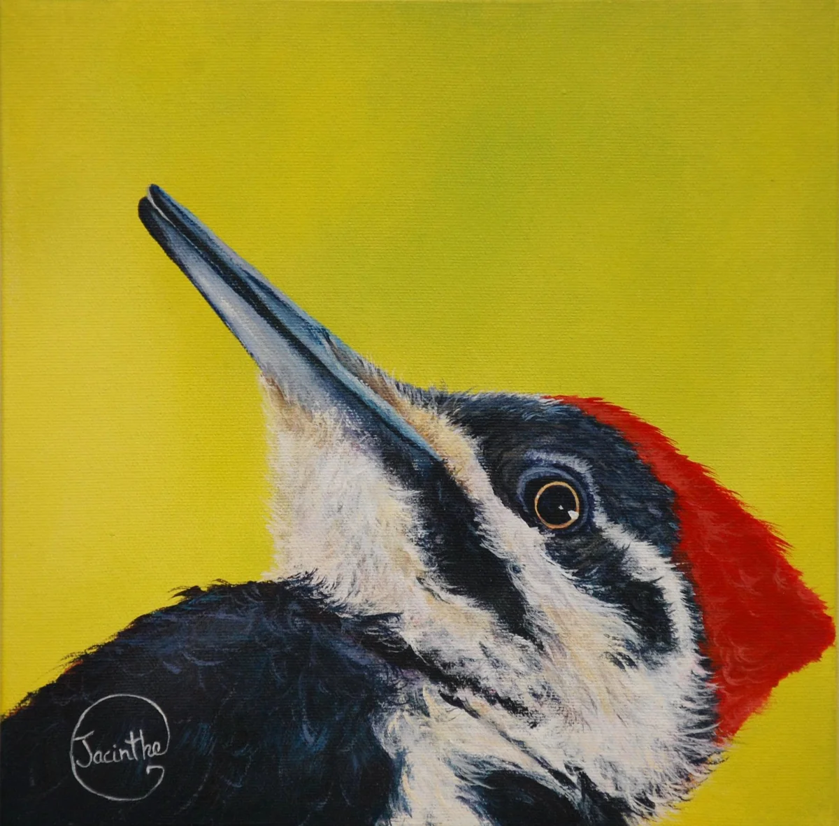 Grand pic — Jacinthe Grenon Grand pic