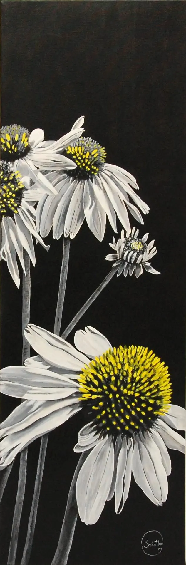 Échinacées — Jacinthe Grenon Échinacées