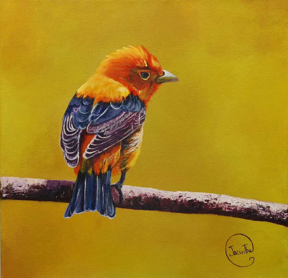 Oiseau orange — Jacinthe Grenon Oiseau orange