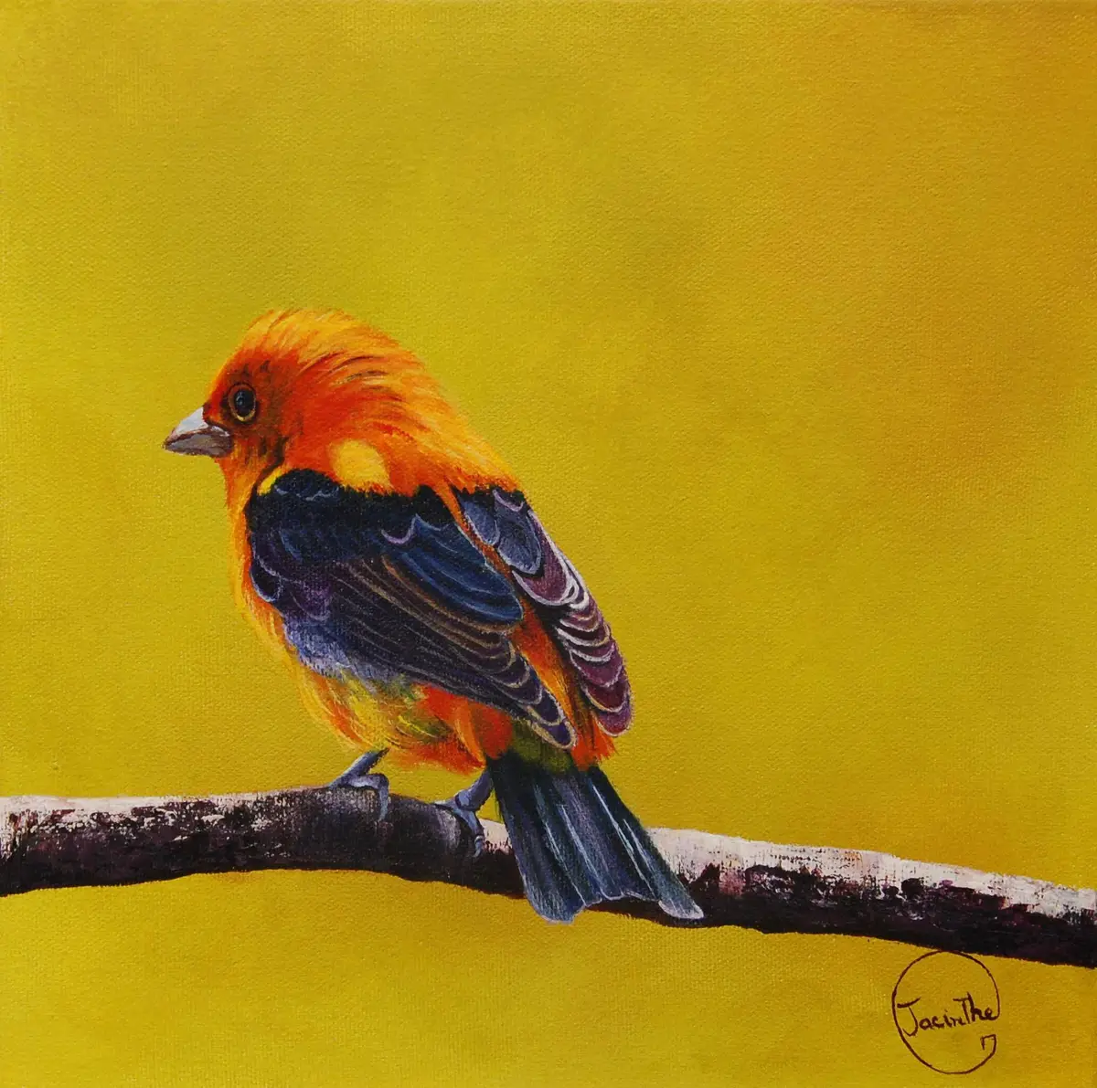 Oiseau tropical — Jacinthe Grenon Oiseau tropical