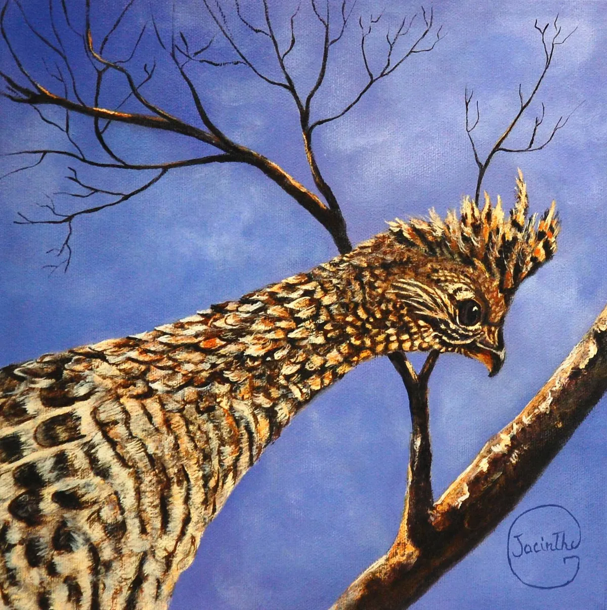 Perdrix sur branche — Jacinthe Grenon Perdrix sur branche