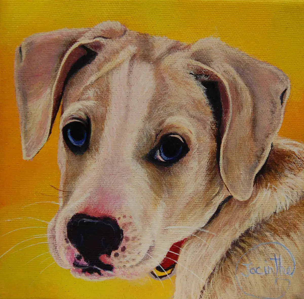 Portrait de chien — Jacinthe Grenon Portrait de chien