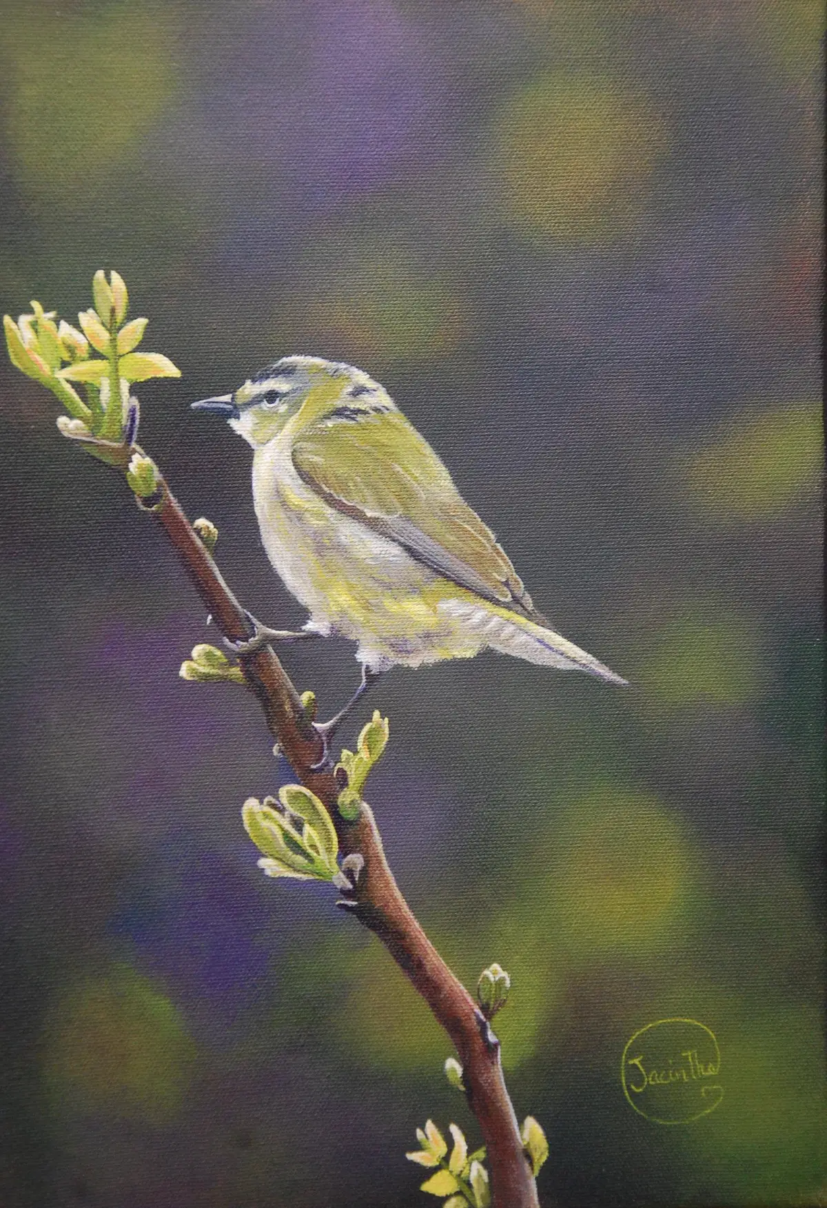 Petit oiseau clair — Jacinthe Grenon Petit oiseau clair