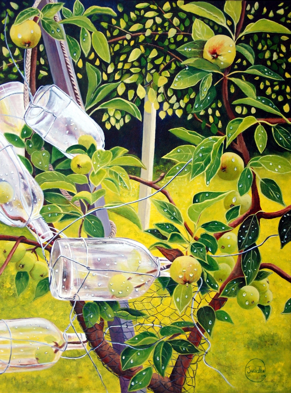 Verger — Jacinthe Grenon Verger